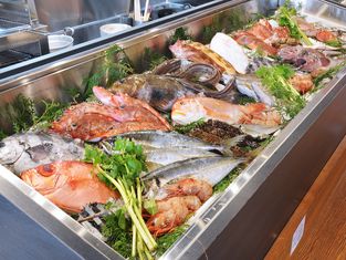 어채 토미키스케