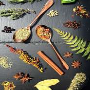 生かしあい、生み出す。

◯ハーブ + スパイス + 食材 =

素材の持ち味を活かしつつ新しい味が生まれる
組み合わせは無限でありお互い際立たせ、引き立て合う
