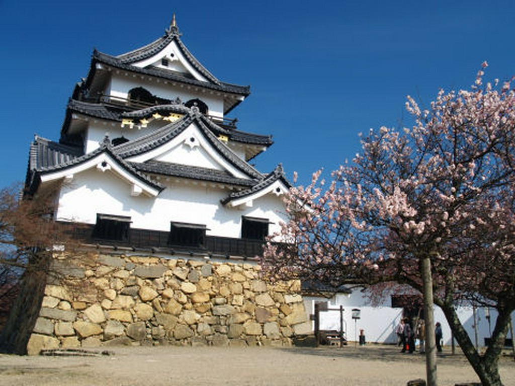 彦根城近く！　近江の味をご堪能下さい。