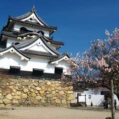 彦根城近く！　近江の味をご堪能下さい。