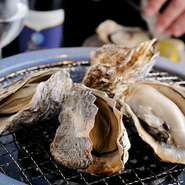 焼いた方が美味しい牡蠣もあるとか。身が凝縮し、より甘味と旨味が増すそう。厳選の味わいをご堪能あれ。