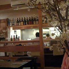 店内で満開の桜を見ながらおいしい手作り和食とお酒でほっこり
