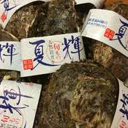 夏場の天然かきは大きさにより時価になります。