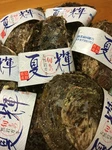 夏場の天然かきは大きさにより時価になります。