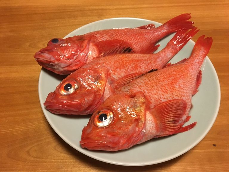 きんき