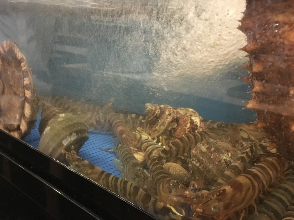 ※季節によって新鮮な食材を提供する為、メニューが変わります。詳しくはお尋ねください。