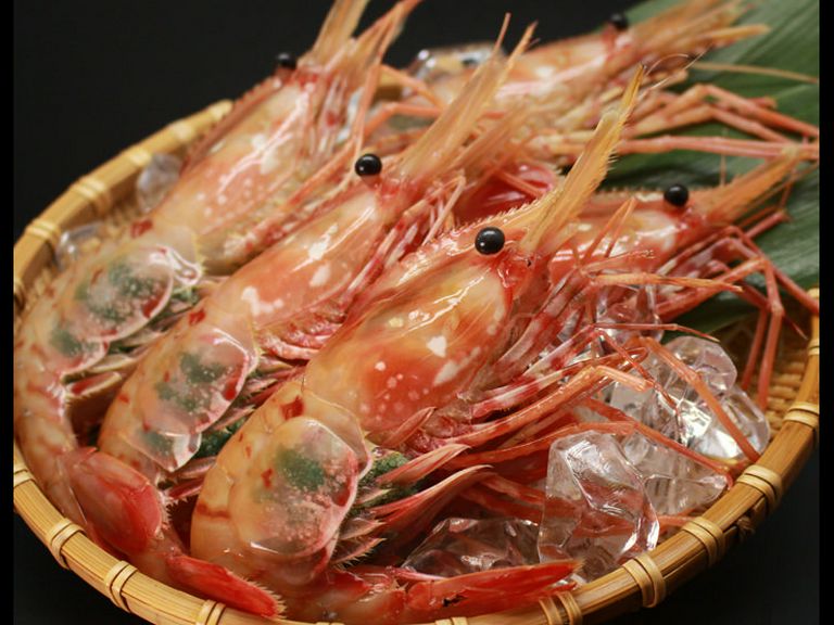 牡丹海老(噴火湾産)