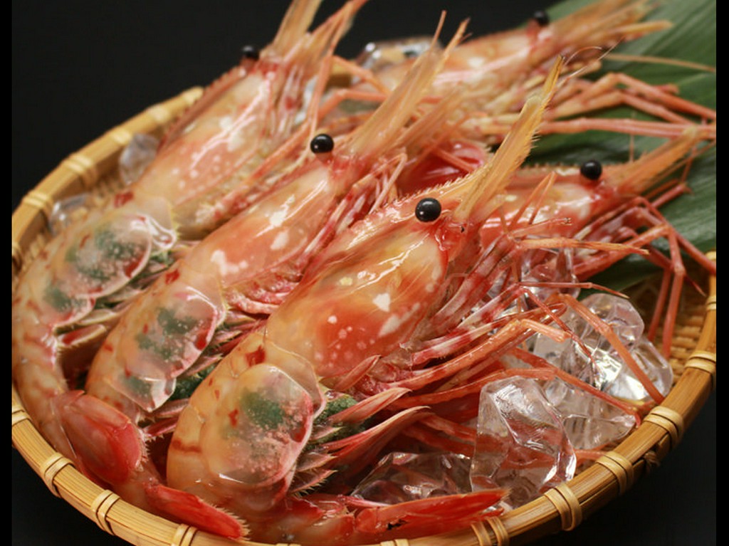 牡丹海老（噴火湾産）