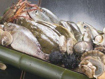 市場や漁師から仕入れる新鮮食材!!