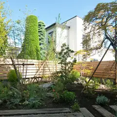 眺めているだけで、癒される中庭