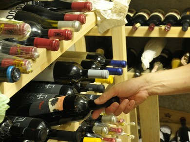 カジュアルに楽しんでもらえるように、普段使いのものを中心に