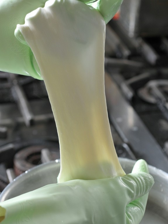 自家製モッツァレラチーズもご賞味を