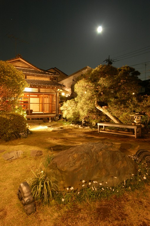 あたたかな灯りで照らされた、夜の庭の風景をお楽しみください