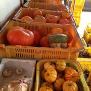 三田市の大西農園との直接取引により実現、シェフが、毎週、直接畑に行き、選んだ野菜がお店に出されます。
ランチは、その野菜が入ったサラダが食べ放題！春野菜から、めずらしい野菜まであります。
