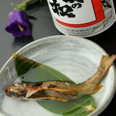 美酒＜岩魚の骨酒＞東北の名酒から料理に合うものが並んでいます