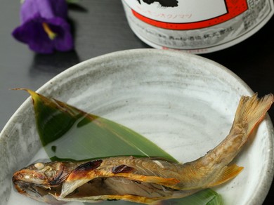 美酒＜岩魚の骨酒＞東北の名酒から料理に合うものが並んでいます