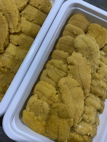 生雲丹