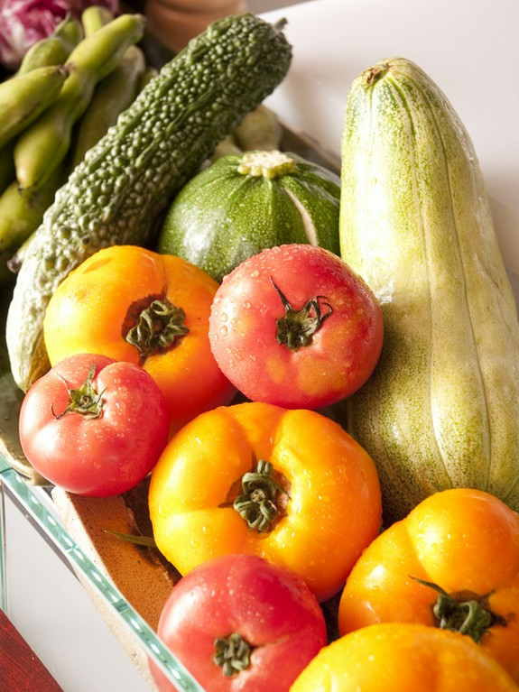 厳選した旬の食材を使用しています