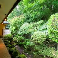 夏は緑が鮮やかで、秋は紅葉、春は桜の花が咲き乱れる四季折々に美しい庭が自慢です。