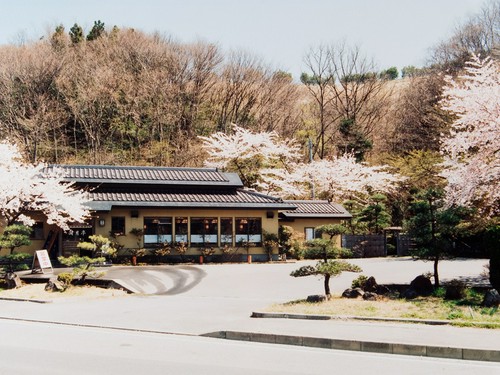 春は桜の名所です