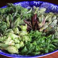 春はスタッフ自ら摘んできたフレッシュな山菜が色んな調理方法で楽しめる季節です。
山菜料理に興味のある方は【山菜料理堪能コース】がお勧めです⁉