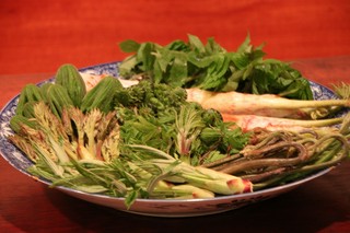 飛騨天然食材の料理　春…香り高い山菜料理
