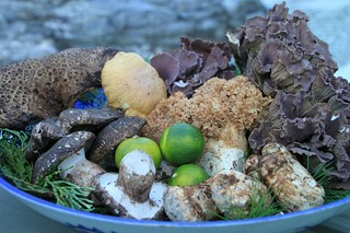飛騨天然食材の料理　秋…天然きのこ料理