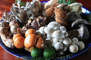 飛騨天然食材の料理 秋…天然きのこ炭火焼