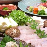 魚介から野菜まで、長崎ならではの新鮮な食材をふんだんに使用しております。自慢のふぐは、九州の生産者から最高級のとらふぐを仕入れております。薄作りの透き通るような美しさと新鮮な食感をぜひご堪能ください。