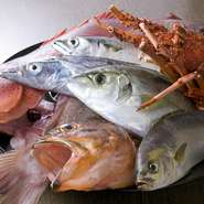 ショーケースにはとれたて新鮮な海の幸がズラリ！　おまかせで一品いかがですか？