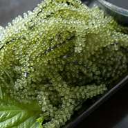 沖縄直送です。プチプチの王様です。