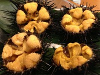 身たっぷりの雲丹