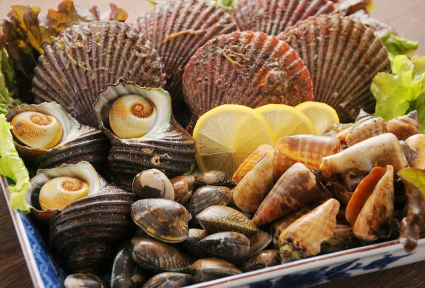地物しか使わない、こだわりの魚介類はどれも新鮮！