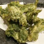 高知へ来たなら是非!!