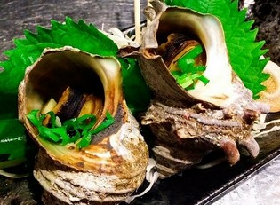 土佐沖で その日獲れの新鮮な魚貝