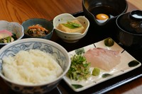鯛のお刺身／煮もの／和もの／御飯／御菜／汁もの