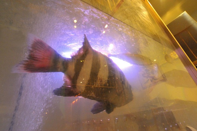 ファミリーにおすすめ