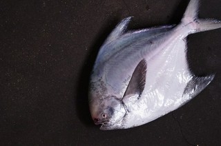 食材×文化