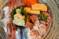 季節のお魚と甘エビや生雲丹など豪華に盛り付けました。限定5食ですのでお早めにどうぞ！