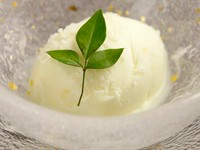 柚子シャーベット528円/バニラアイス550円/抹茶アイス605円/季節のアイス605円（画像は柚子シャーベットです）