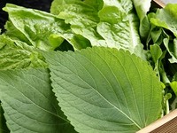 ・チシャ菜
・エゴマの葉
・サニーレタス
※季節により内容が変ります
【お肉と一緒に！生野菜で巻いて召し上がれ！】