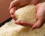 お米のプロ(ソムリエ 米・食味鑑定士 認定015
059号)が選ぶお米は米粒一粒一粒がしっかりしている上にツヤがあり、心地良い歯応えと、甘味、噛めば噛むほどで口の中で美味しさが広がります。