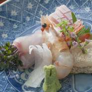富山で水揚げされた旬の魚のお造り。日替わりでお楽しみいただけます。