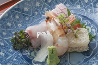 富山で水揚げされた旬の魚のお造り。日替わりでお楽しみいただけます。