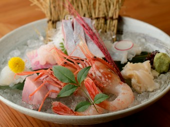 岩瀬漁港から直接仕入れています『刺身盛り合わせ』（1.5人前）