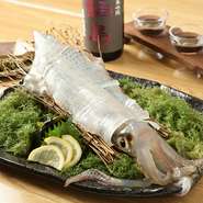 地元の師崎港から直送するメインのふぐはもちろん、活造りのいかは、佐賀県の呼子港から取り寄せるなど、食材の鮮度の良さも【ふぐ料理　美舟】　の特徴です。