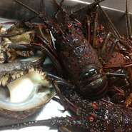 超グルメを楽しもう！！