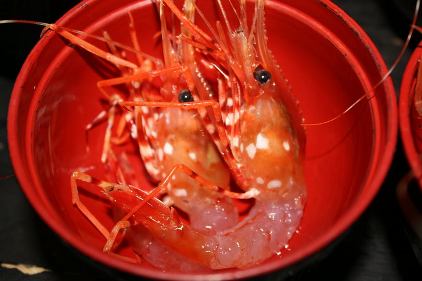 海の幸も山の幸も厳選素材!