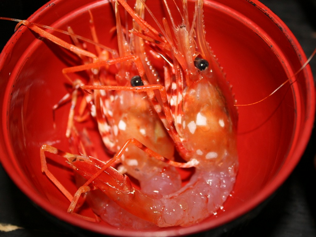 海の幸も山の幸も厳選素材！