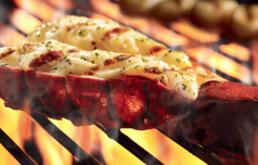 Gorgeous lobster course with sparkling wine, 20 types of wine, draft beer and more, 120 minutes of all-you-can-drink included, perfect for entertaining and gourmet dining/private rooms available